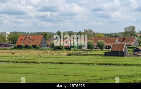 Molte case di campagna classiche tra i campi. Zaanse Schans, Zaandam, Olanda Foto Stock