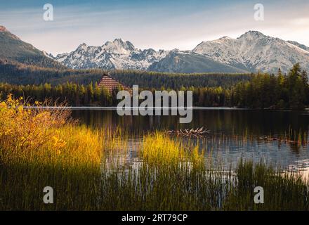 Paesaggio autunnale all'alba con splendide montagne innevate sullo sfondo. Strbske pleso in alto Tatra in autunno con erba gialla e soffice na Foto Stock