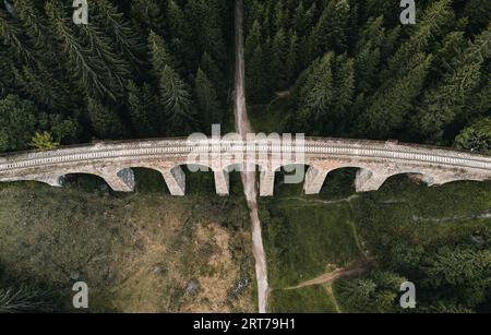 Ponte ferroviario - Viadotto di Telgart in Europa Slovacchia dall'alto (vista dall'alto) con splendida pineta e sentiero sotto il viadotto. Foto aerea di tr Foto Stock