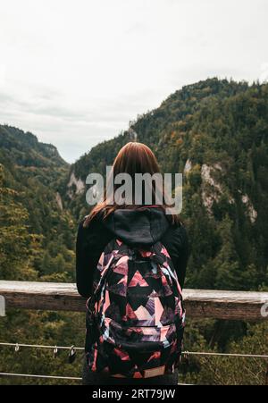 Giovane turista con zaino che esita dalla vista sulla montagna e la valle - foto verticale. Foto Stock