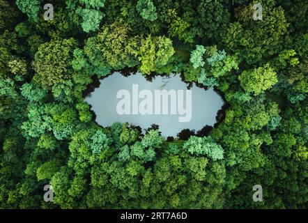 Vista dall'alto - foto con drone (UAV) del bellissimo e tranquillo lago con riflessi in acqua. foto dall'alto del tranquillo laghetto boschivo con alberi surr Foto Stock