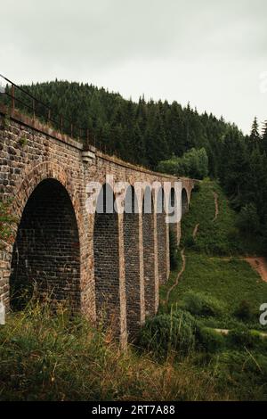 Foto del viadotto nella foresta di Telgart, Slovacchia. Foto Stock