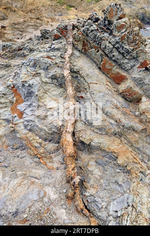 Scisto di rottura del reef di quarzo. Questa foto è stata scattata a Cap Ras, provincia di Girona, Catalogna, Spagna. Foto Stock