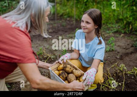 Ritratto della nonna con la nipote che raccoglie le patate. Foto Stock