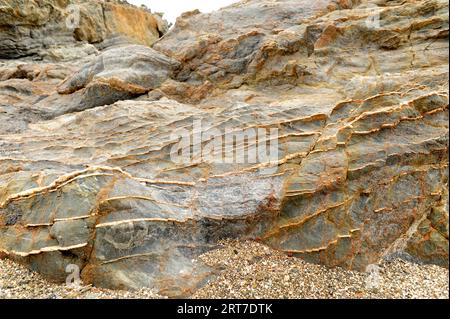 Le barriere coralline di quarzo rompono la schist e i microfiors di thorugh. Questa foto è stata scattata a Cap Ras, provincia di Girona, Catalogna, Spagna. Foto Stock