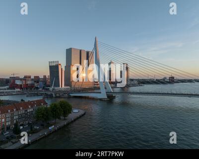 Vista aerea del ponte Erasmusbrug di notte, Erasmusbrug, ponte ferroviario sul fiume Nieuwe Maas a Rotterdam. Foto Stock