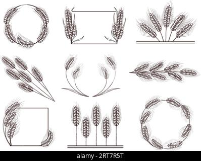 Decorazioni in grano disegnato a mano. Spilla di telaio del grano, bordo del raccolto e divisore. Set di illustrazioni vettoriali delle corone di grano Illustrazione Vettoriale