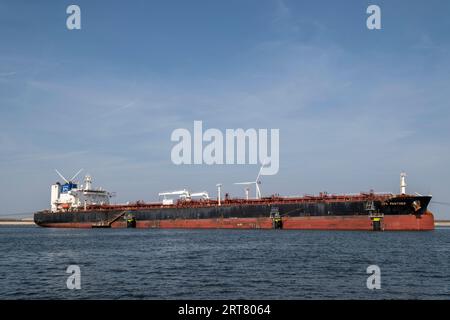 Grande nave cisterna GNL in un porto in una chiara giornata estiva. Porto di Rotterdam, Paesi Bassi. Foto Stock
