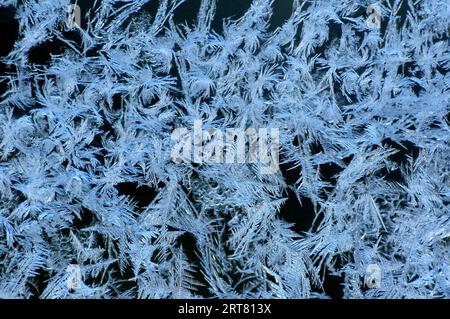 Splendida foto della natura, carta da parati naturale, formazioni di ghiaccio "tribali" su un piatto di vetro creato dal rigido freddo invernale Foto Stock