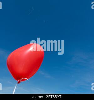 Palloncini colorati a forma di cuori con biglietti d'auguri