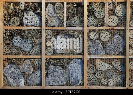 Hotel di insetto con diversi materiali da costruzione Foto Stock