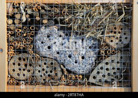 Hotel di insetto con diversi materiali da costruzione Foto Stock