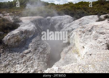 Il cratere collassato della "Grotta dello zolfo" nel Wai-o-Tapu Geothermal Wonderland vicino a Rotorua in nuova Zelanda Foto Stock