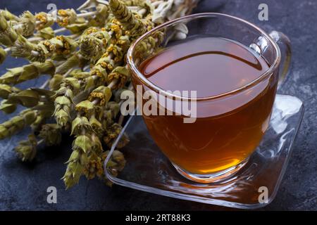 Mountain tea. Sideritis herbal tea and flowers on black slate stone selective focus Stock Photo