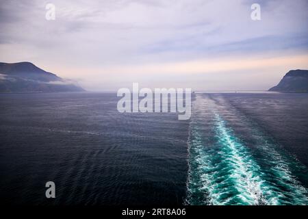 Viaggio nella natura dei fiordi norvegesi in nave da crociera Foto Stock