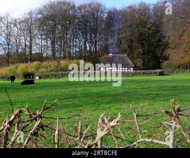 Fattoria Abernodwydd in autunno, Museo Nazionale di storia - Sain Ffagan Amgueddfa Werin Cymru Foto Stock