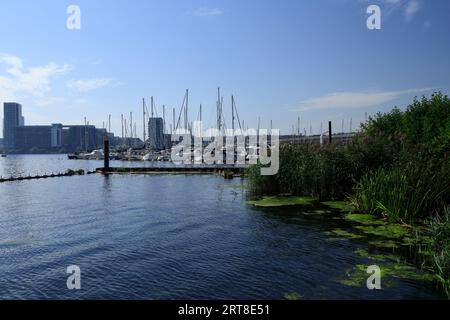 Barche ormeggiate sulla Baia di Cardiff, 23 settembre Foto Stock