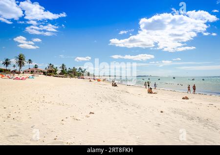 Cumbuco, Brasile, lug 9, 2017: un sacco di kite surfers sull'aria in Cumbuco Paradise beach Foto Stock