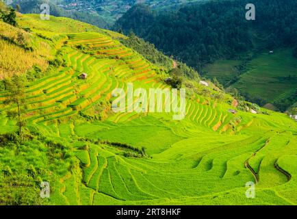 Incredibile paesaggio con campi di riso terrazzati nelle montagne di Mu Cang Chai, provincia di Yen Bai, Vietnam settentrionale Foto Stock