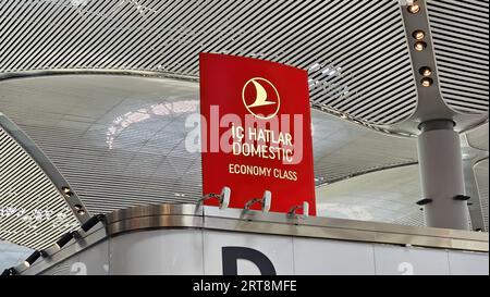 Istanbul, Turchia - 27 giugno 2023: Cartellonistica Turkish Airlines che mostra il banco check-in dei voli nazionali per la classe economica all'aeroporto di Istanbul. Foto Stock