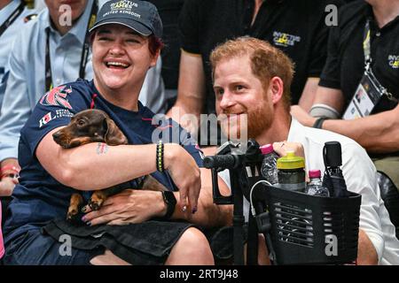 Düsseldorf, Germania. 11 settembre 2023. Il duca di Sussex, il principe Harry, guarda la partita e interagisce con invitati, tifosi, bambini e persino un cane da salsiccia di un atleta britannico, prima di consegnare al Team USA le medaglie d'oro dopo la vittoria. Questa sera, il Team United Kingdom gioca con il Team USA nelle finali di rugby su sedia a rotelle presso l'arena Spiel Merkur. 2° giorno degli Invictus Games Düsseldorf all'interno e intorno alla Merkur Spiel Arena. Crediti: Imageplotter/Alamy Live News Foto Stock