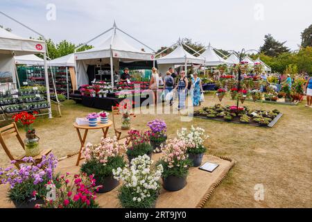 Bancarelle e esibizione di pinks (Dianthus) al RHS Wisley Flower Show supportato da Stressless tenutosi nel settembre 2023, RHS Garden Wisley, Surrey Foto Stock