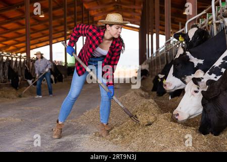 Giovane lavoratrice femminile che organizza il fieno per nutrire le mucche Foto Stock