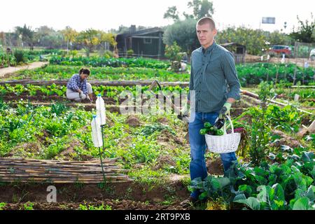 Maschio adulto in camicia e jeans con cesto di raccolta Foto Stock