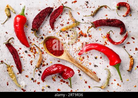 Una foto piatta di peperoni in varie fasi. Fresco, essiccato, in fiocchi di pepe e pepe in polvere in un cucchiaio. Foto Stock