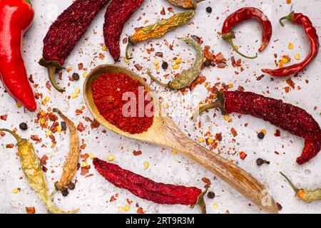 Una foto piatta di peperoni in varie fasi. Fresco, essiccato, in fiocchi di pepe e pepe in polvere in un cucchiaio. Foto Stock