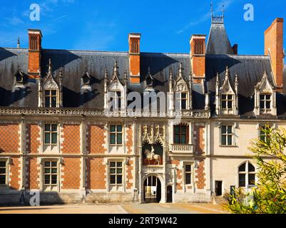 Vista sul maestoso castello Chateau de Blois Foto Stock