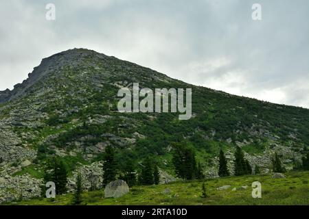 Una spaccatura di pietre e cedri rari ai piedi del dolce pendio di un'alta montagna ricoperta di erba e arbusti in una nuvolosa giornata estiva. Natu Foto Stock