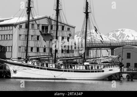 Nave a vela, Tromso, Troms og Finnmark Norvegia Foto Stock
