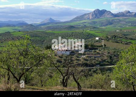 Vicino a Colmenar presso il Parque Natural Montes de Malaga, Andalusia, Spagna Foto Stock