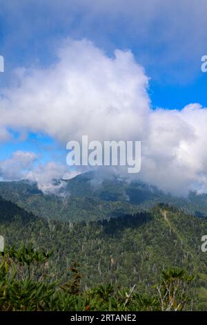 Di Great Smoky Mountains Foto Stock