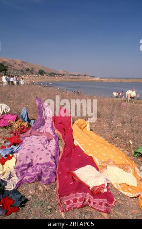 India: Sari che si asciugano in un campo di pellegrinaggio, Festival di Poornima che si tiene vicino al Tempio di Yellamma, Saundatti, Karnataka (1994). Ogni anno nel mese indù di Magh (gennaio - febbraio) più di mezzo milione di persone si radunano intorno al minuscolo tempio della dea Yellamma a Saundatti. Yellamma è la patrona del devadasi o delle donne dedicate al servizio di una divinità o tempio. Foto Stock