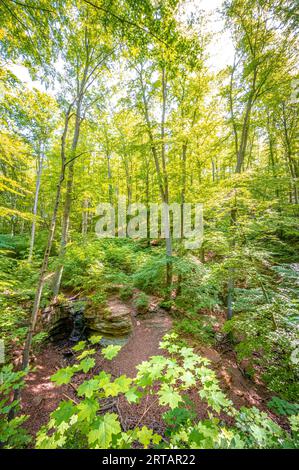 Scogliere calcaree a Burschenplatz nella foresta mista del Rautal con una piccola cascata, Jena, Turingia, Germania Foto Stock