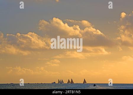 La Long Island Sailing Regatta si svolge a giugno ed è la seconda regata più grande delle Bahamas, Long Island, Bahamas Foto Stock