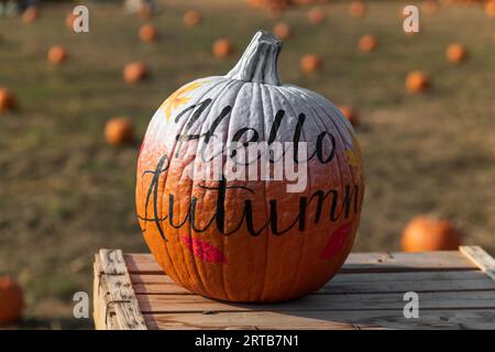 Zucca arancione matura con iscrizione Hello Autumn posizionata su un tavolo di legno su sfondo sfocato del campo agricolo Foto Stock