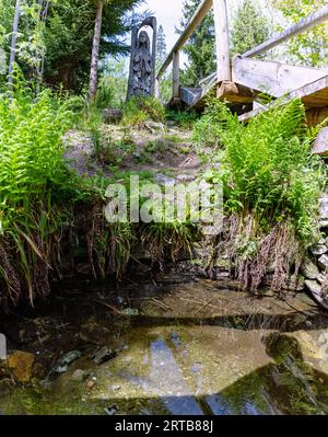 Sorgente Moldava con una statua in legno della Moldava vicino a Kvilda nel Parco Nazionale di Šumava nella foresta boema nella Repubblica Ceca Foto Stock