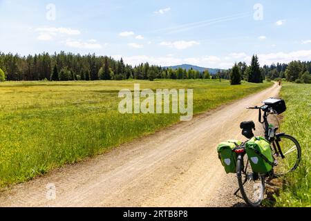 Pista ciclabile vicino a Prášily nel Parco Nazionale di Šumava nella foresta boema nella Repubblica Ceca Foto Stock