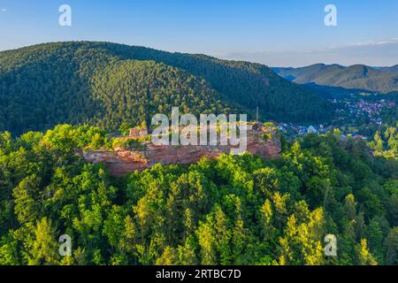 Rovine del castello di Falkenburg, Wilgartswiesen, Wasgau, Foresta Palatinata, Renania-Palatinato, Germania Foto Stock
