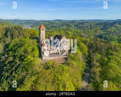 Wachenburg on the Wachenberg, Weinheim, Odenwald, GEO Nature Park, Bergstrasse-Odenwald, Baden-Württemberg, Germania Foto Stock