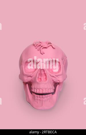 teschio rosa pastello con uno scorpione su sfondo rosa Foto Stock
