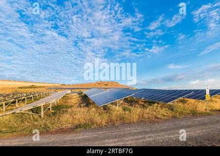 La fattoria di pannelli solari al tramonto si trova nella zona dei sobborghi di Adelaide, Australia meridionale Foto Stock