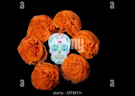 Biscotti con forme di catrinas messicane e fiori di calendula d'arancia per celebrare Halloween o il giorno dei morti su sfondo nero Foto Stock