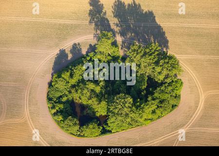 Pozzo d'acqua nel paesaggio dei campi, vista aerea, Germania, Meclemburgo-Pomerania occidentale Foto Stock