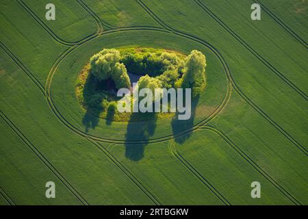 Pozzo d'acqua nel paesaggio dei campi, vista aerea, Germania, Meclemburgo-Pomerania occidentale Foto Stock