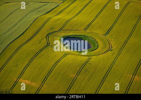 Pozzo d'acqua nel paesaggio dei campi, vista aerea, Germania, Meclemburgo-Pomerania occidentale Foto Stock