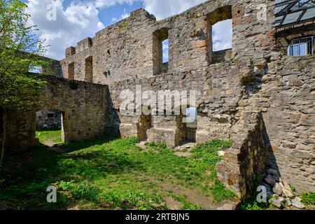 Rovine del castello di Bramberg nel parco naturale di Haßberge, distretto di Haßfurt, bassa Franconia, Franconia, Baviera, Germania Foto Stock